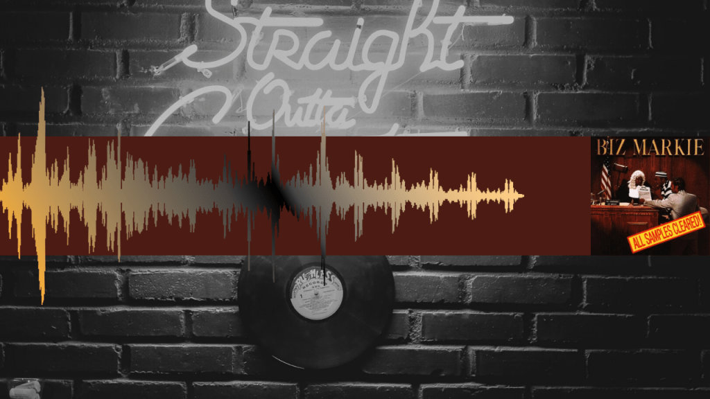 Ne kradi!: Pravna povijest samplea u hip hop&nbsp;glazbi