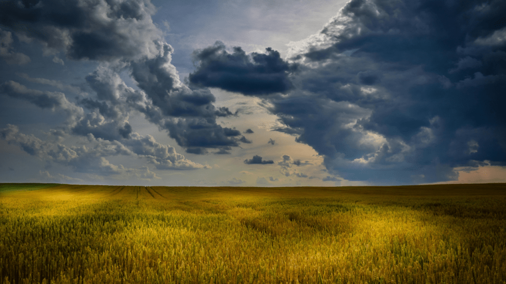 Igor Narandžić: Zlato