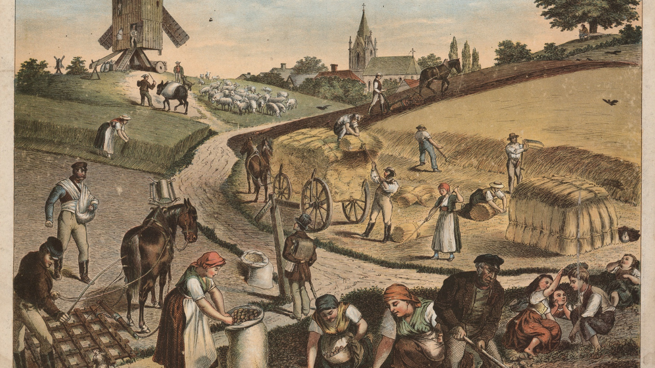 Marija Juračić: Oporavak