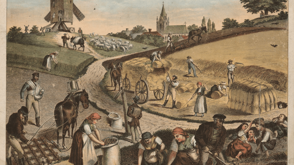 Marija Juračić: Oporavak